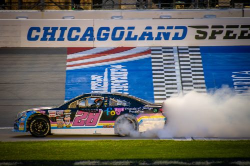 DSC_9483-2-500x333.jpg